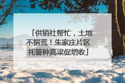 供销社帮忙，土地不撂荒！朱家庄片区托管种高粱促增收