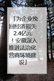 为企业挽回经济损失2.4亿元！安徽深入推进法治化营商环境建设