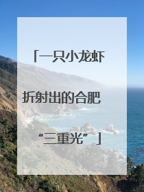一只小龙虾折射出的合肥“三重光”
