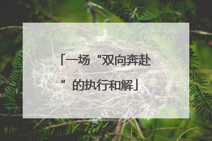 一场“双向奔赴”的执行和解