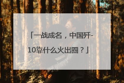 一战成名，中国歼-10靠什么火出圈？