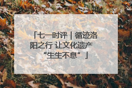 七一时评｜循迹洛阳之行 让文化遗产“生生不息”