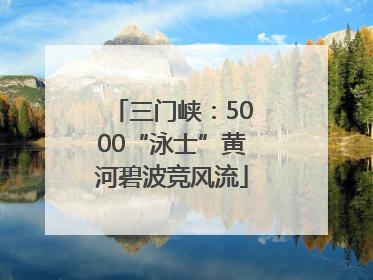 三门峡：5000“泳士”黄河碧波竞风流