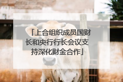 上合组织成员国财长和央行行长会议支持深化财金合作