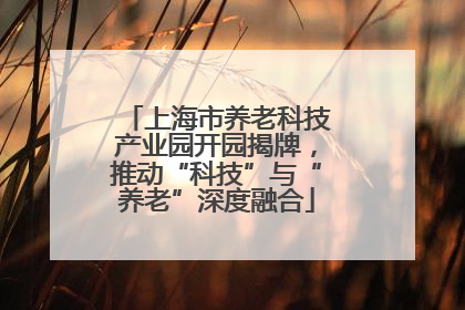 上海市养老科技产业园开园揭牌，推动“科技”与“养老”深度融合