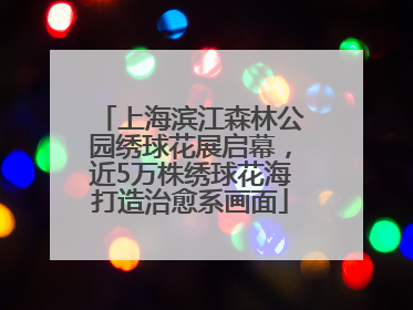 上海滨江森林公园绣球花展启幕，近5万株绣球花海打造治愈系画面