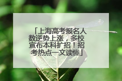 上海高考报名人数逆势上涨，多校宣布本科扩招！招考热点一文读懂