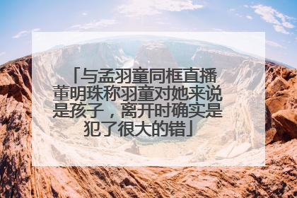 与孟羽童同框直播 董明珠称羽童对她来说是孩子，离开时确实是犯了很大的错