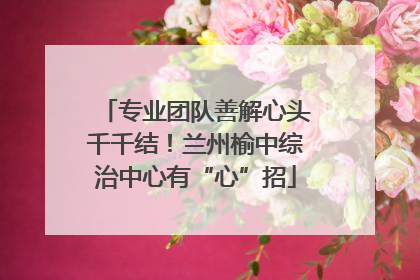 专业团队善解心头千千结！兰州榆中综治中心有“心”招