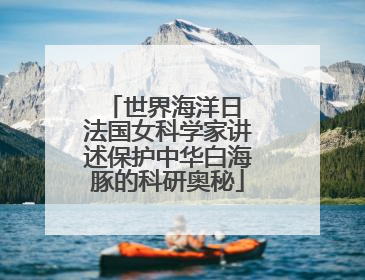 世界海洋日 法国女科学家讲述保护中华白海豚的科研奥秘