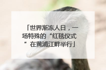 世界渐冻人日，一场特殊的“红毯仪式”在黄浦江畔举行