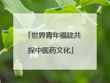 世界青年福建共探中医药文化