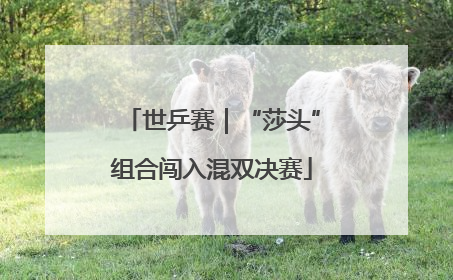 世乒赛｜“莎头”组合闯入混双决赛