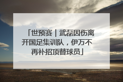 世预赛｜武磊因伤离开国足集训队，伊万不再补招顶替球员