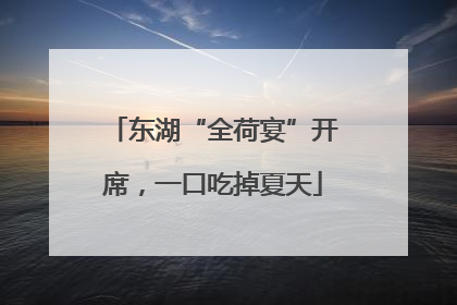 东湖“全荷宴”开席，一口吃掉夏天