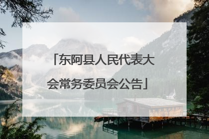 东阿县人民代表大会常务委员会公告