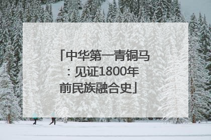 中华第一青铜马：见证1800年前民族融合史