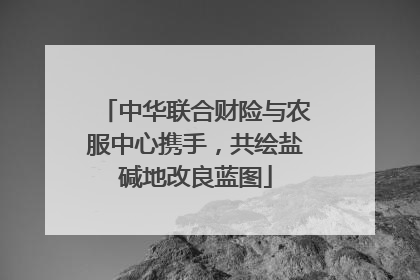 中华联合财险与农服中心携手，共绘盐碱地改良蓝图