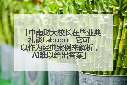 中南财大校长在毕业典礼谈Labubu：它可以作为经典案例来解析，AI难以给出答案