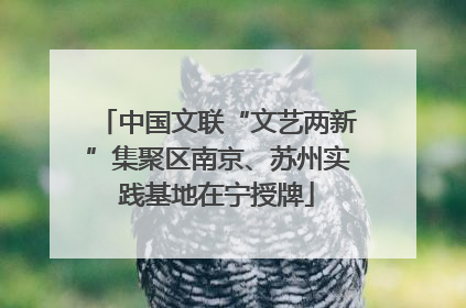 中国文联“文艺两新”集聚区南京、苏州实践基地在宁授牌