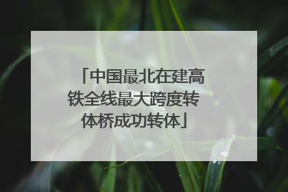 中国最北在建高铁全线最大跨度转体桥成功转体