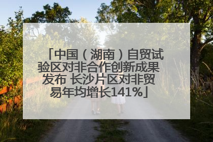 中国（湖南）自贸试验区对非合作创新成果发布 长沙片区对非贸易年均增长141%