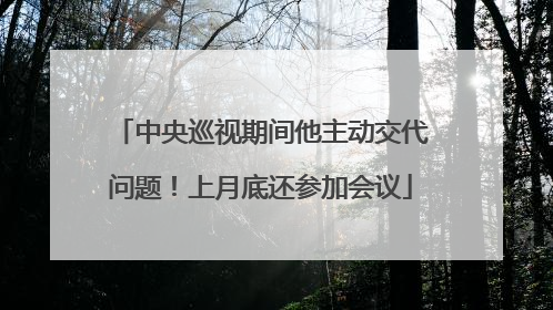 中央巡视期间他主动交代问题！上月底还参加会议