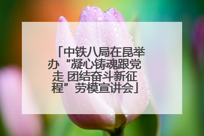 中铁八局在昆举办“凝心铸魂跟党走 团结奋斗新征程”劳模宣讲会