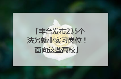 丰台发布235个法务就业实习岗位！面向这些高校