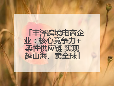 丰泽跨境电商企业：核心竞争力+柔性供应链 实现越山海、卖全球