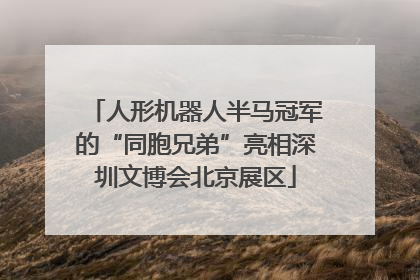人形机器人半马冠军的“同胞兄弟”亮相深圳文博会北京展区