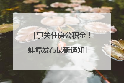 事关住房公积金！蚌埠发布最新通知
