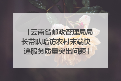 云南省邮政管理局局长带队暗访农村末端快递服务质量突出问题