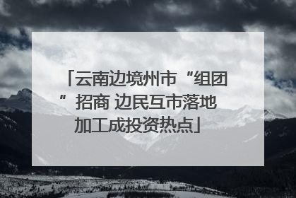云南边境州市“组团”招商 边民互市落地加工成投资热点