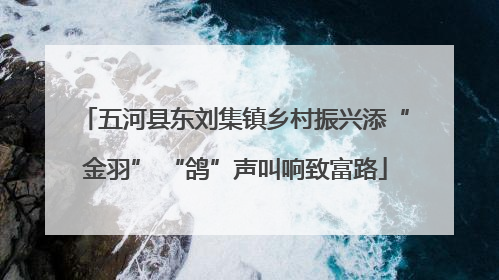 五河县东刘集镇乡村振兴添“金羽” “鸽”声叫响致富路