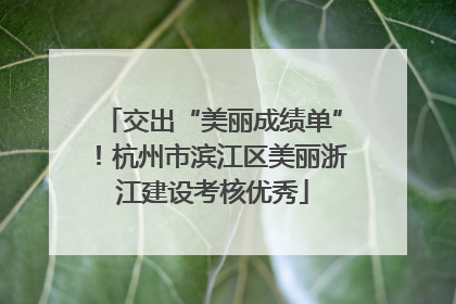 交出“美丽成绩单”！杭州市滨江区美丽浙江建设考核优秀