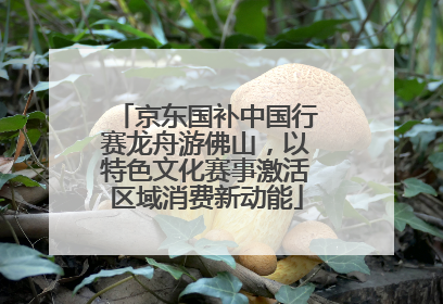 京东国补中国行赛龙舟游佛山，以特色文化赛事激活区域消费新动能
