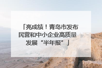 亮成绩！青岛市发布民营和中小企业高质量发展“半年报”
