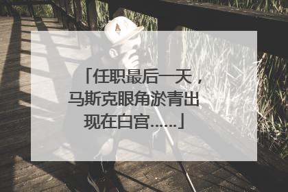 任职最后一天，马斯克眼角淤青出现在白宫……