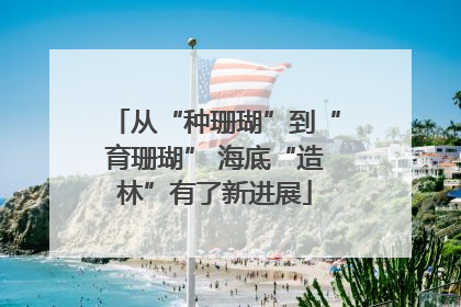 从“种珊瑚”到“育珊瑚” 海底“造林”有了新进展