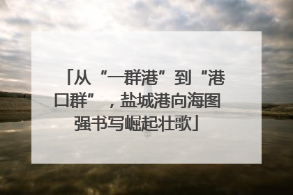 从“一群港”到“港口群”，盐城港向海图强书写崛起壮歌