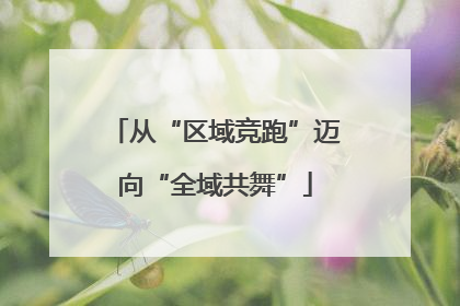 从“区域竞跑”迈向“全域共舞”