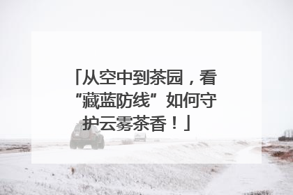 从空中到茶园，看“藏蓝防线”如何守护云雾茶香！