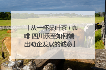 从一杯桑叶茶+咖啡 四川乐至如何端出助企发展的诚意