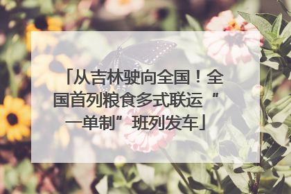 从吉林驶向全国！全国首列粮食多式联运“一单制”班列发车