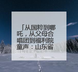 从国粹到哪吒，从父母合唱团到福利院童声：山东省青少年宫交出美育“融合创新”答卷
