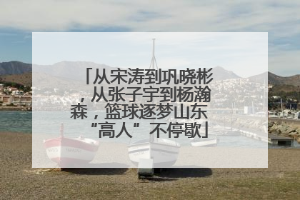 从宋涛到巩晓彬，从张子宇到杨瀚森，篮球逐梦山东“高人”不停歇