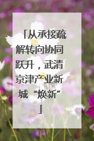 从承接疏解转向协同跃升，武清京津产业新城“焕新”