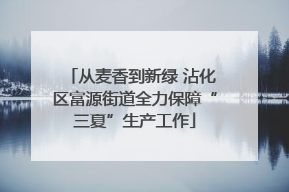 从麦香到新绿 沾化区富源街道全力保障“三夏”生产工作