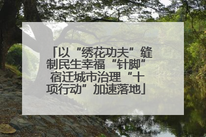 以“绣花功夫”缝制民生幸福“针脚” 宿迁城市治理“十项行动”加速落地